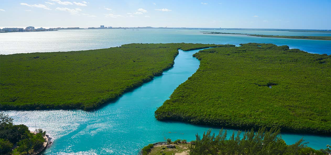 laguna-nichupte-cancun.jpg